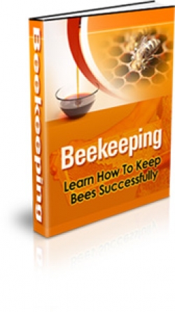 Beekeeping