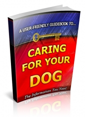 Caring For Your Dog