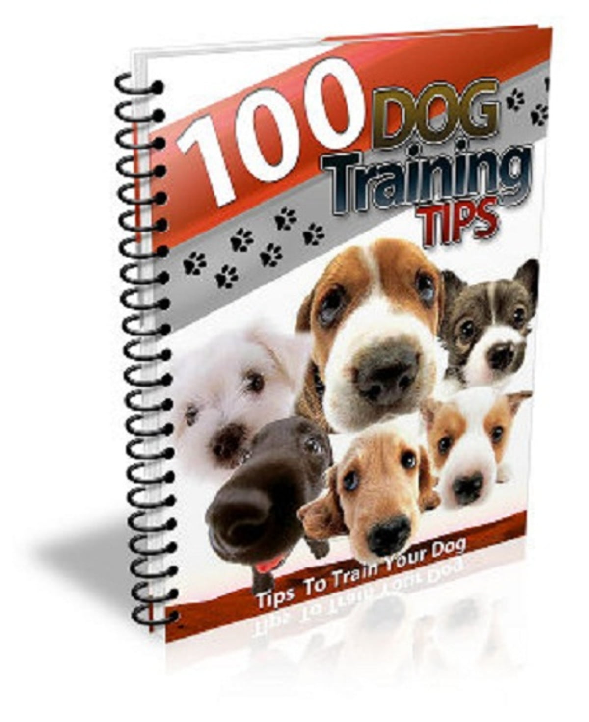 100 Dog Training Tips